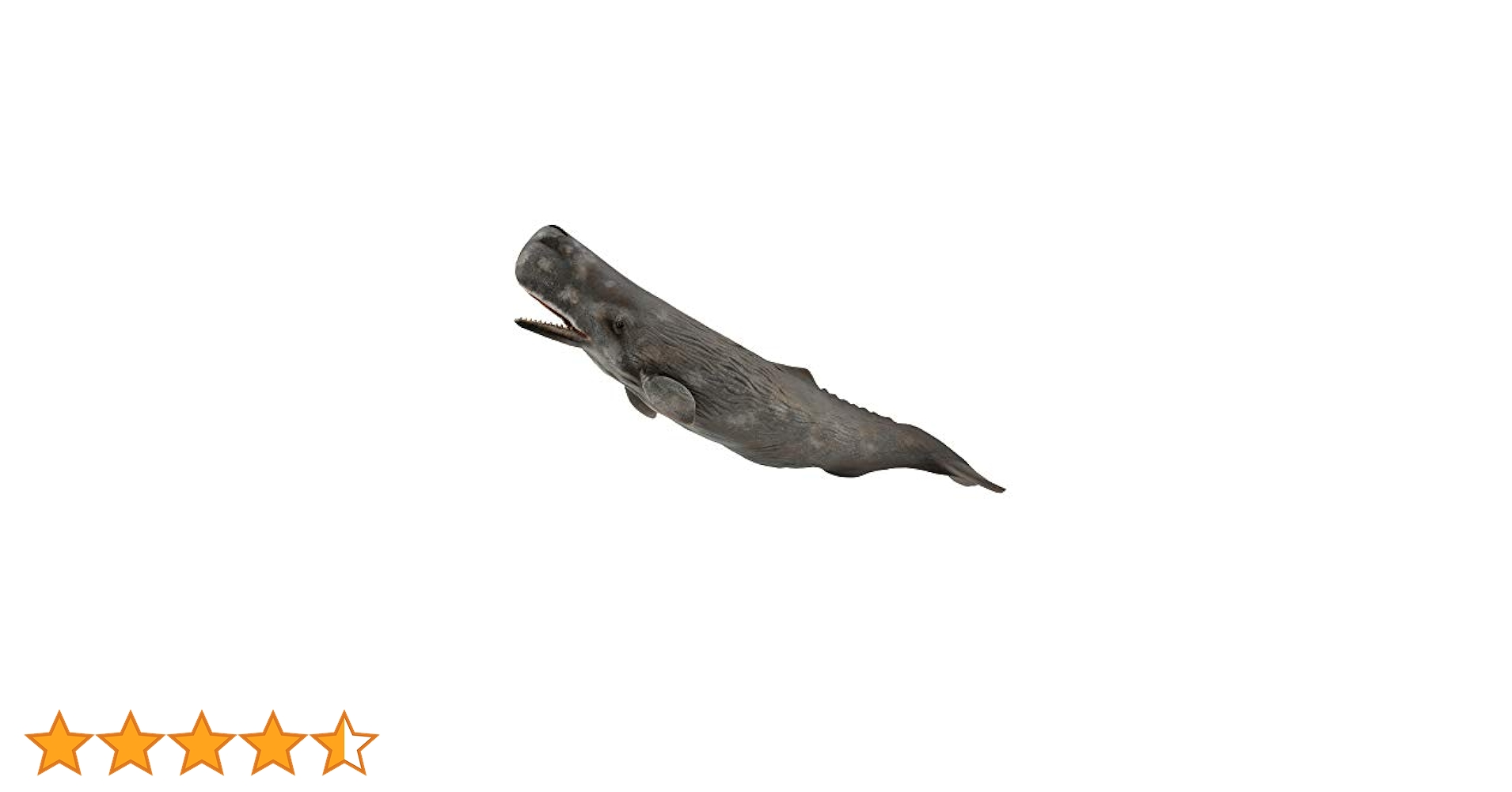 Amazon.co.jp: マッコウクジラ 88835 : おもちゃ